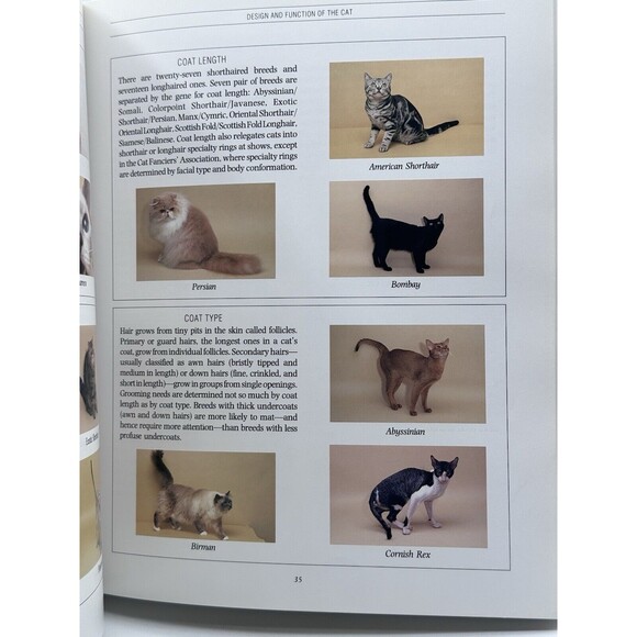 The Complete Cat Book Vintage Hardcover - Picture 8 of 15